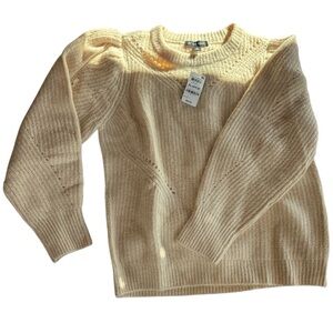 INC Interntl Concepts Sweater Women’s XL Paleo Pale Brazilian Sand Puff Sleeves